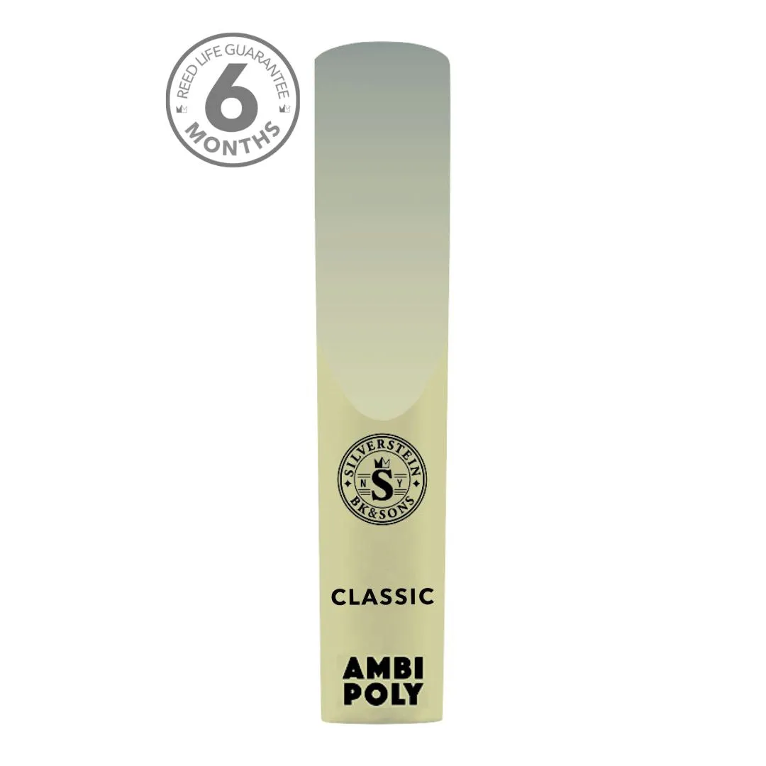 AMBIPOLY Soprano Saxophone Classic 2.5
