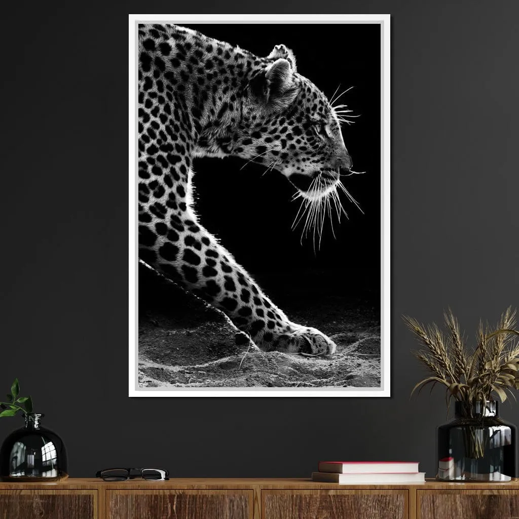 Black and white Leopard