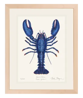 Blue Lobster II Print - Best Seller