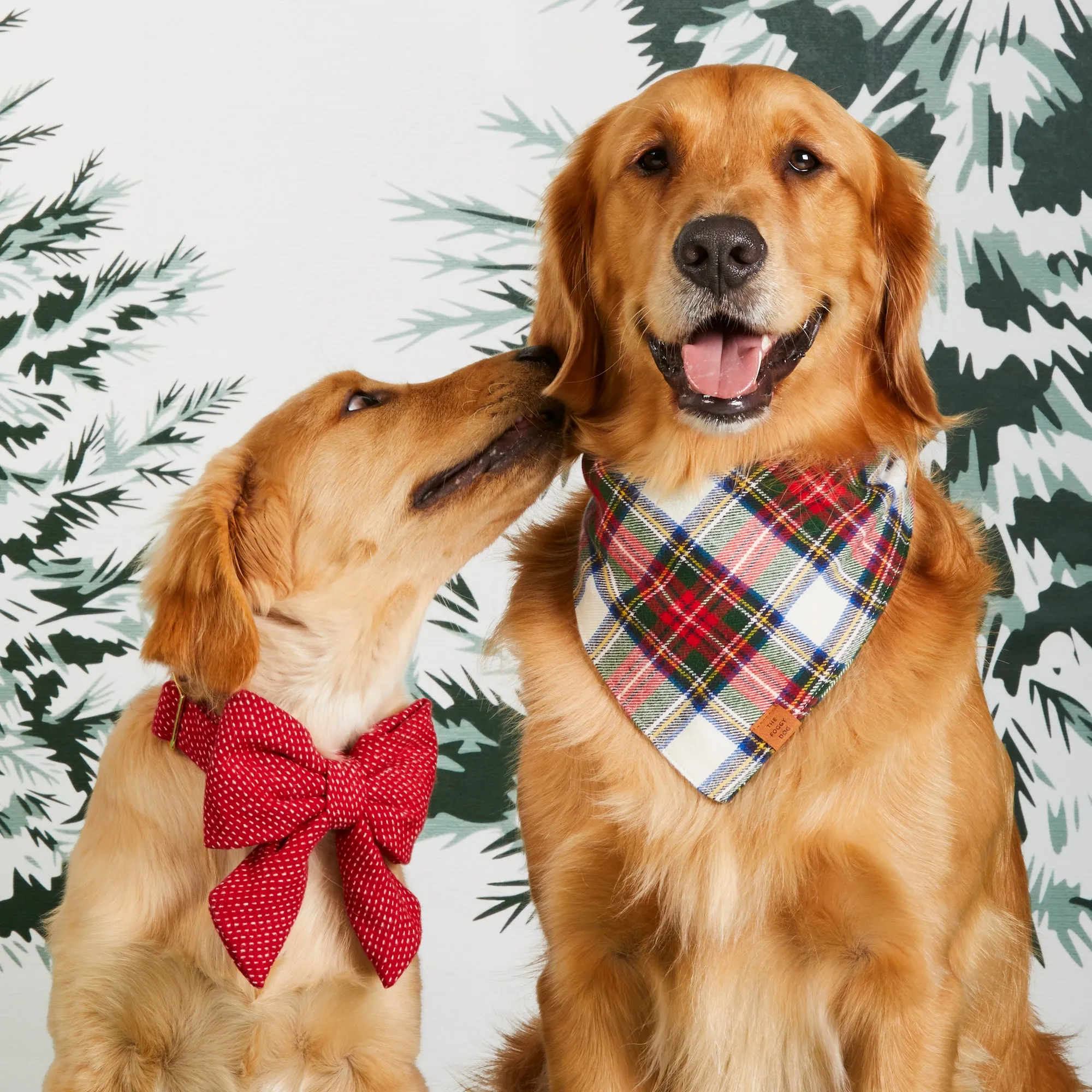 Regent Plaid Flannel Dog Bandana