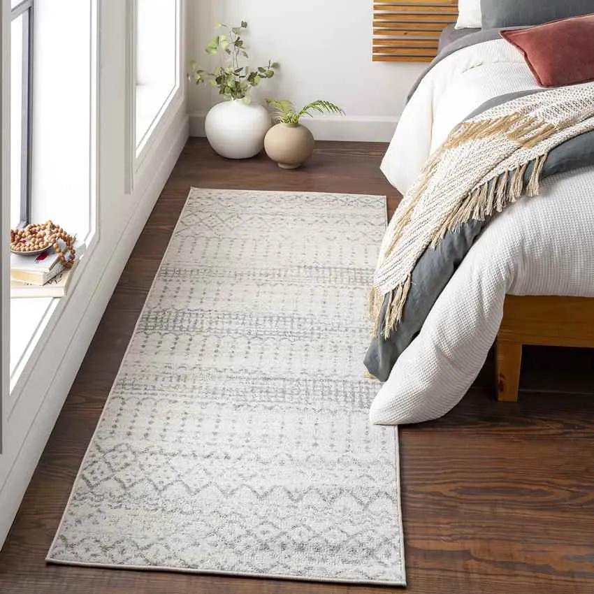 Schrins Transitional Area Rug Carpet for Living Room Bedroom or Kitchen